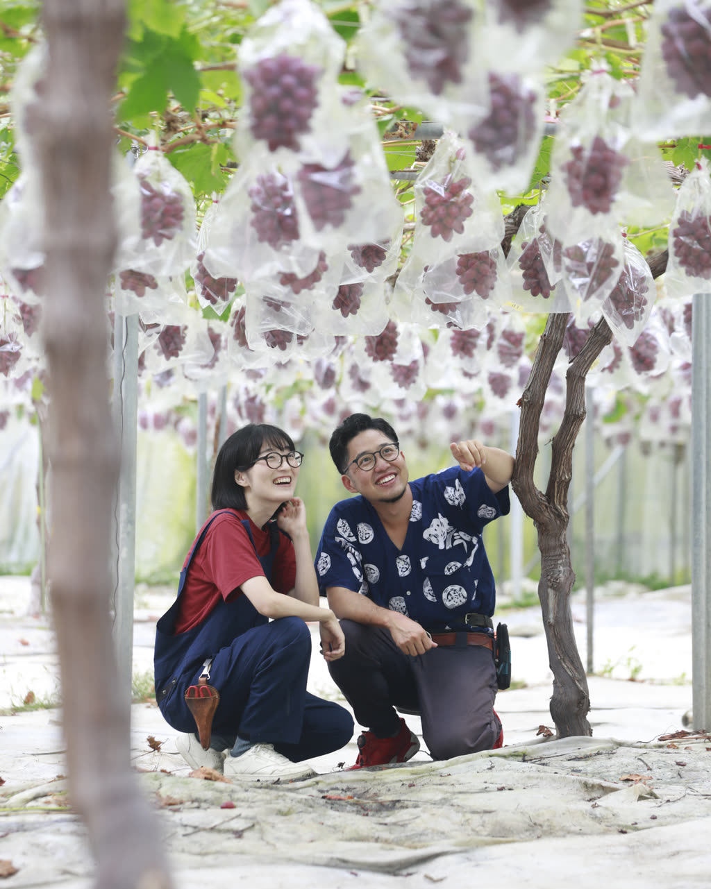 ブドウ棚の下で笑い合う有吉さん夫妻