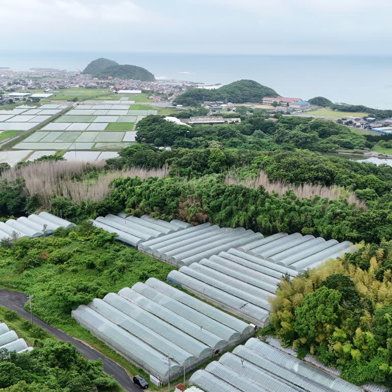 海と田畑を望む農園の空撮