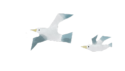 鳥のイラスト