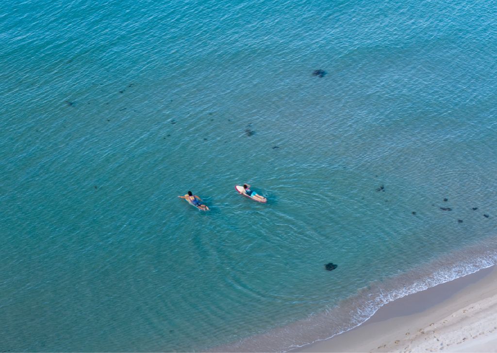 海