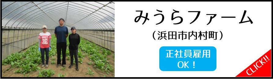 みうらファーム