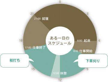 生活のスケジュールグラフ