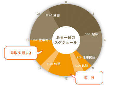 生活のスケジュールグラフ