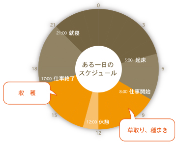 生活のスケジュールグラフ