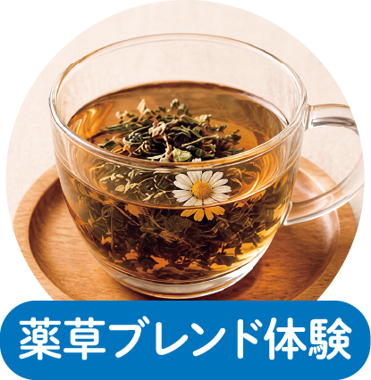 薬草ブレンド体験