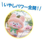 いやしパワー全開！
