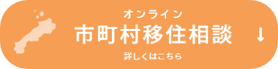 オンライン 市町村移住相談