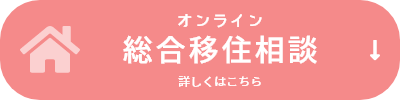 オンライン 総合移住相談