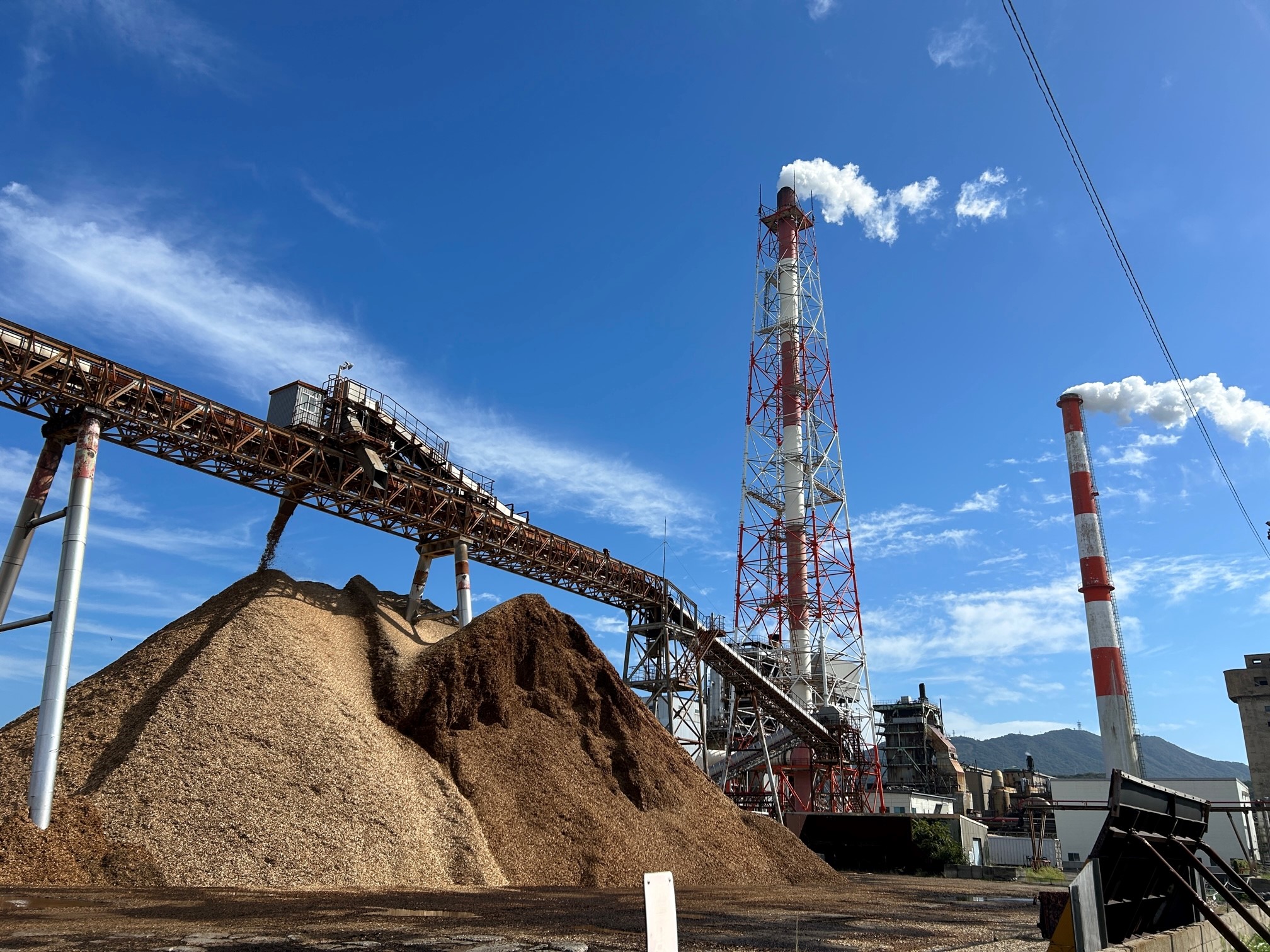 原材料である木材チップ