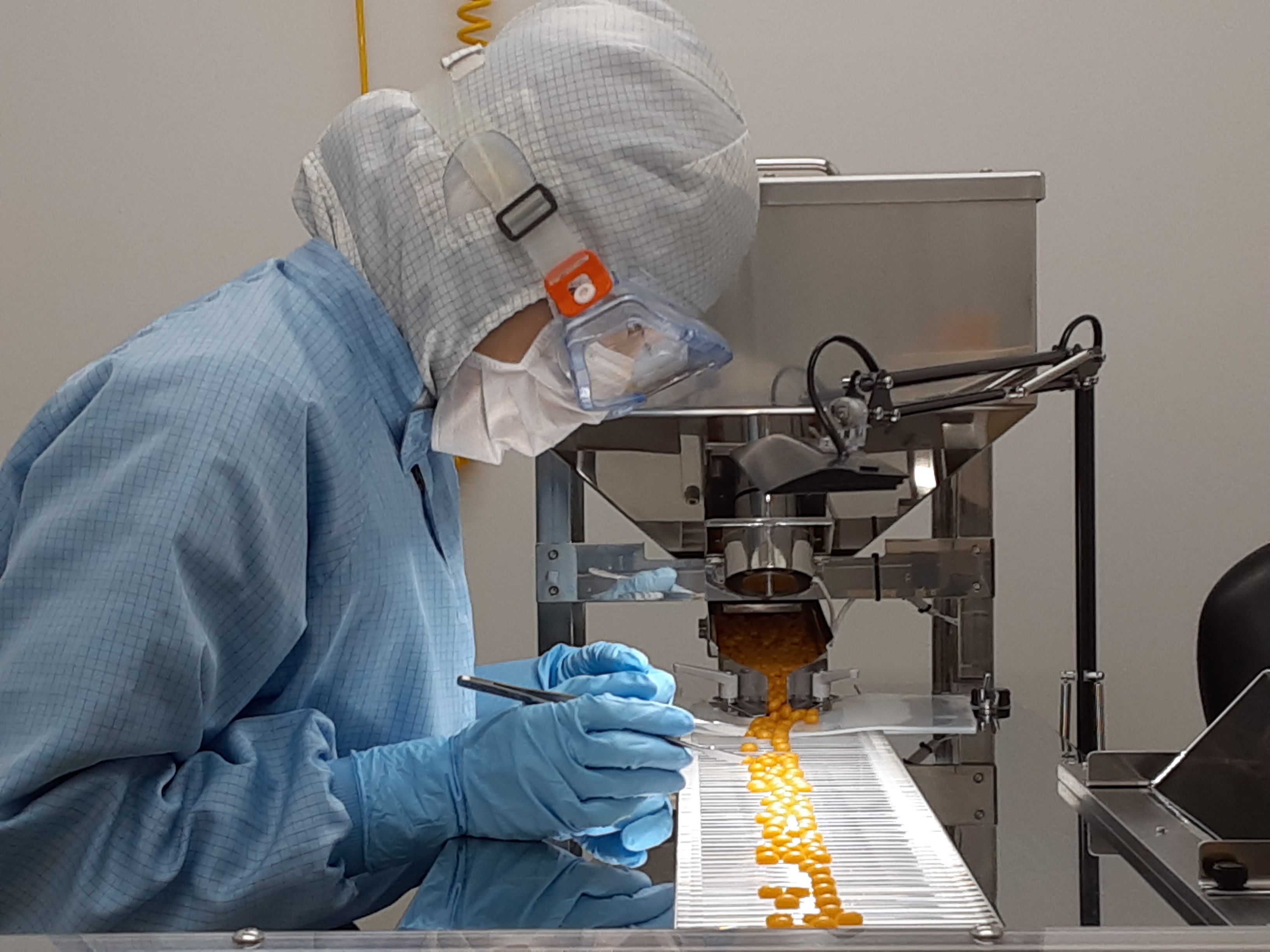 カプセル検査工程