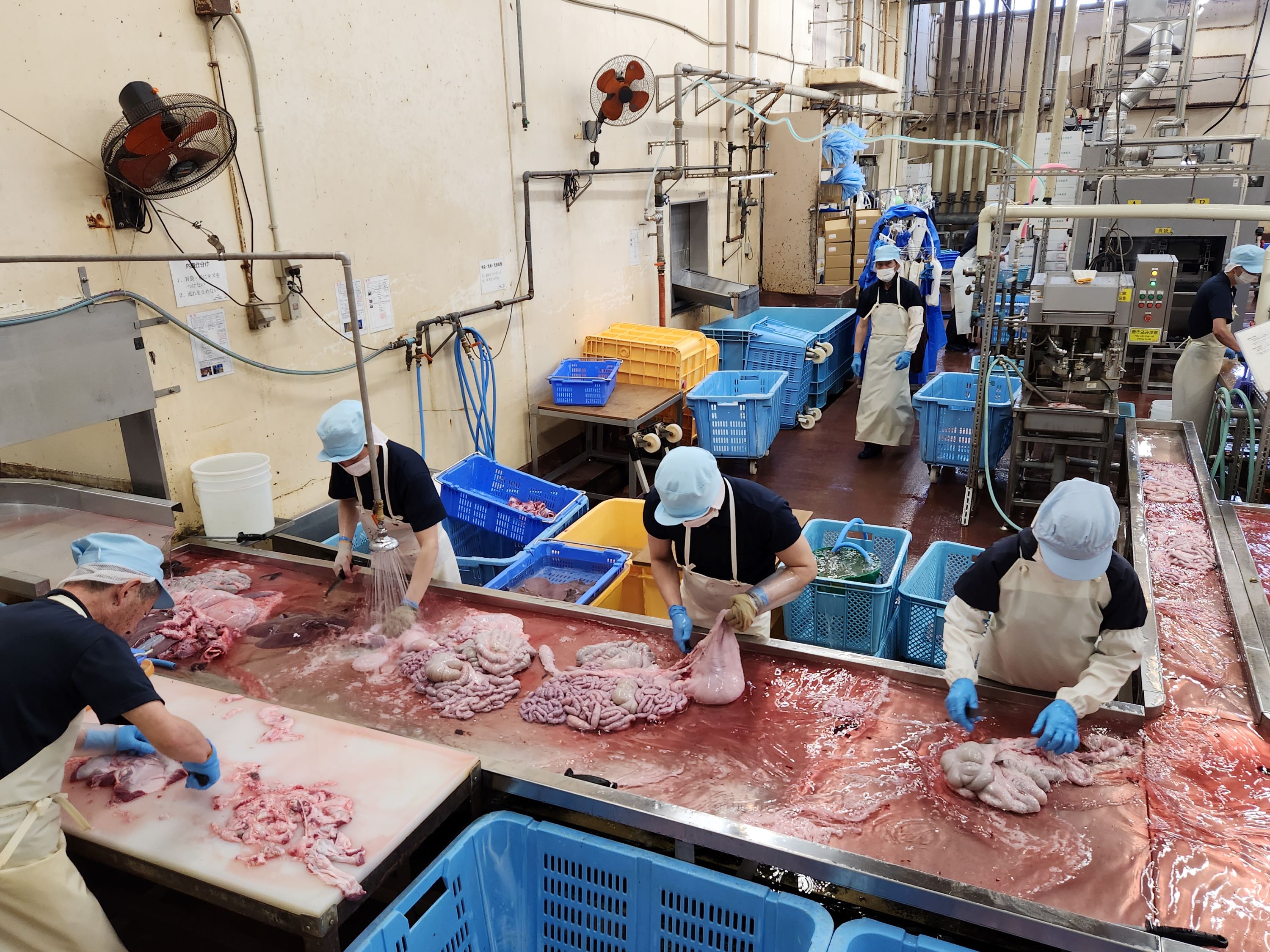 業務一課 内臓処理