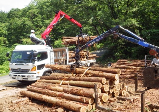 山土場で原木の積込