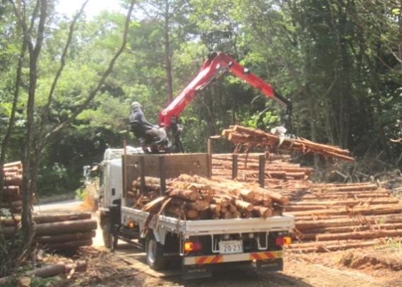 山土場で原木の積込