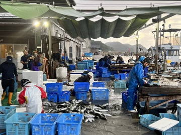 丁寧な選別。最高の状態で食卓に上がることを願って。